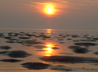 Ondergaande zon op het Wad.jpg