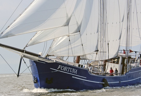 Fortuna – afbeelding 3