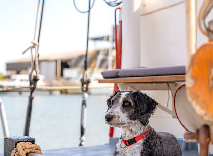 Schip_Ortolan_door_Evie_Stroomer_34.jpg
