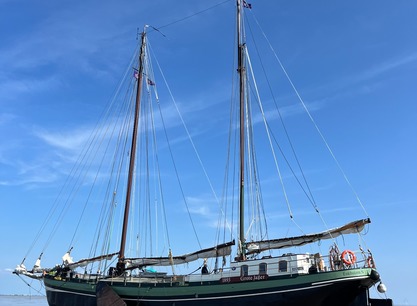 Grote Jager drooggevallen op het Wad close-up.jpg