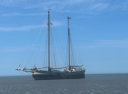 Grote Jager drooggevallen op het Wad vanaf de zijkant.jpg