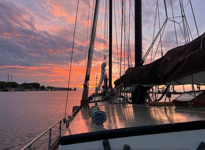 grote-jager-dek-bij-zonsondergang.jpg