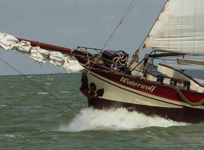 waterwolf aan de wind.JPG