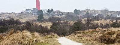 Travelguide - VVV Schiermonnikoog