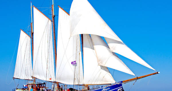 Zeilblog - Verandering in onze vloot: Morgana krijgt nieuwe eigenaar en schipper