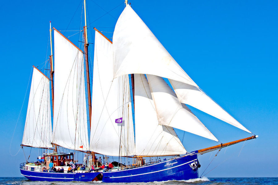 Schoolkamp op een zeilschip (oud) - Grote en kleine klassen zijn welkom op de schepen van Holland Sail