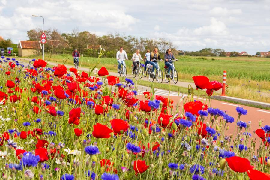 Zeilen, fietsen & wandelen - Fietsen – ontdek ons land op zijn mooist