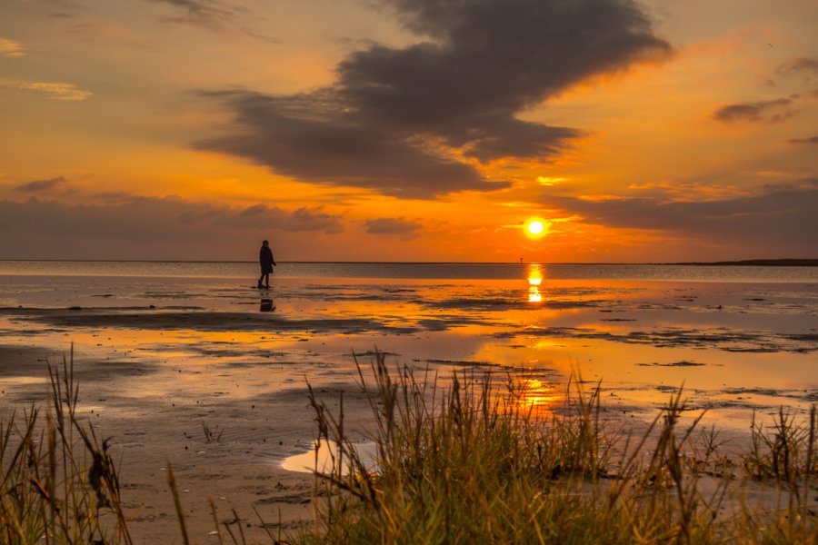 Waddeneilanden - Vakantie in eigen land op de Waddeneilanden!