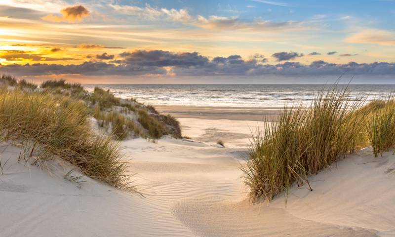 Texel - Het eiland van de schapen en wol