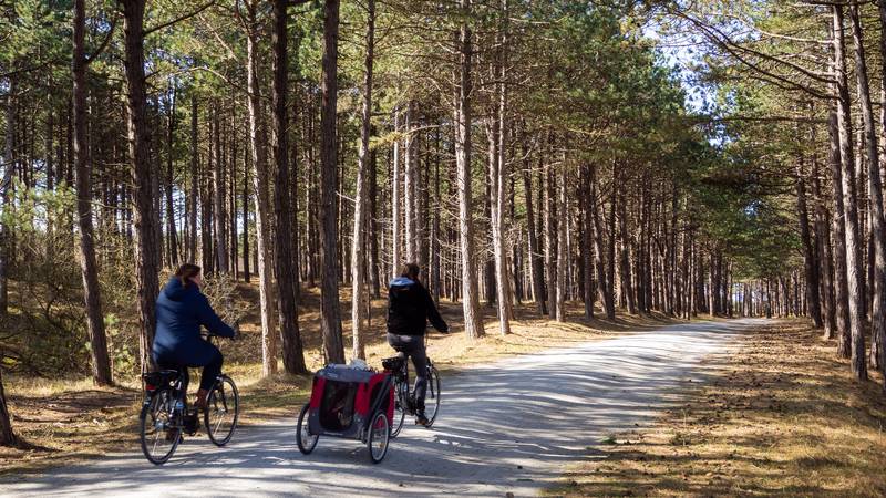 Terschelling - Terschelling ontdekken met Holland Sail - de leukste activiteiten