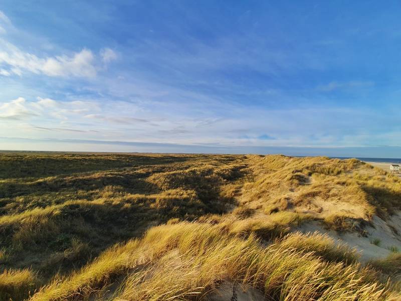 Terschelling - Natuurreservaat de Boschplaat