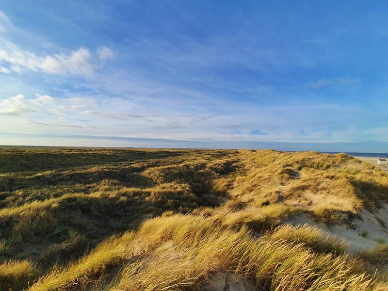 Terschelling - Bijzonder natuurgebied op waddeneiland Terschelling