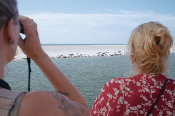 Zeilvakantie met schipper - Unieke ervaring 