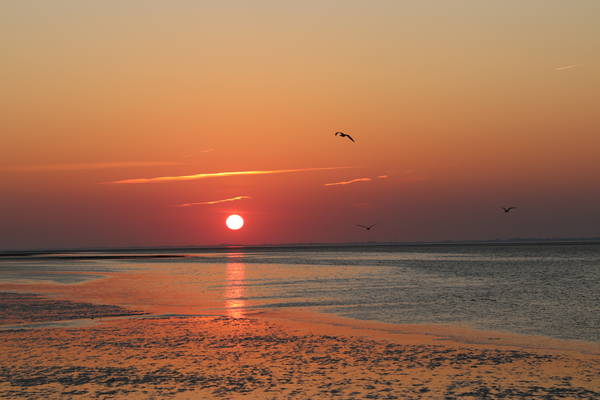 slow travel niederlanden natur