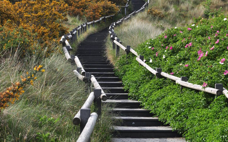 Zeilen, fietsen & wandelen - Wandelen – beleef de natuur bij iedere stap