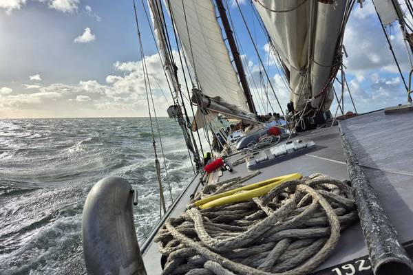 Zeilblog - De Slag in de Rondte 2025: De Welvaart trotseert wind en redt een onverwachte passagier