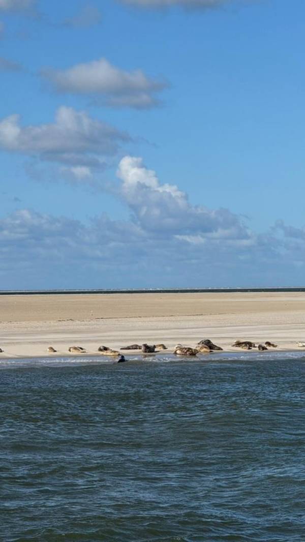 Zeilblog - Fotoreportage ter afsluiting van het seizoen 2025 – een blik terug op een mooi zeiljaar