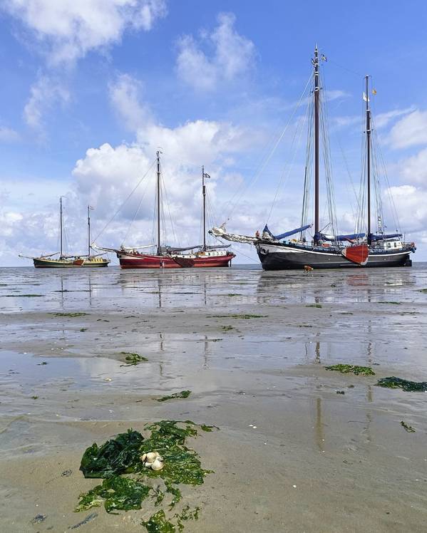 Irene Toxopeus (Nirwana) - Het schippersvak: alles tegelijk