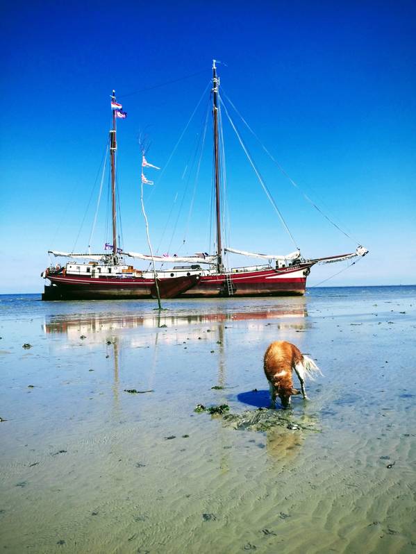 Irene Toxopeus (Nirwana) - Het schippersvak: alles tegelijk