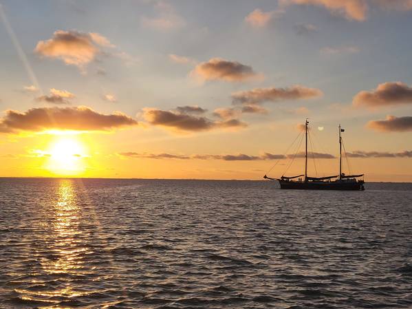 Irene Toxopeus (Nirwana) - Het schippersvak: alles tegelijk