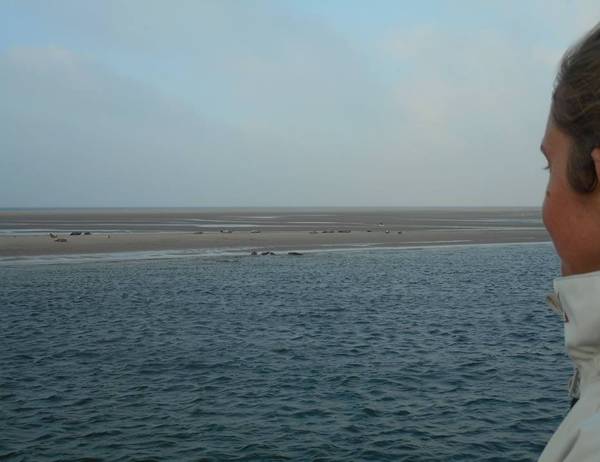 Sytze Kooi (Zeemeeuw) - Wat betekent het schippersvak voor Sytze?