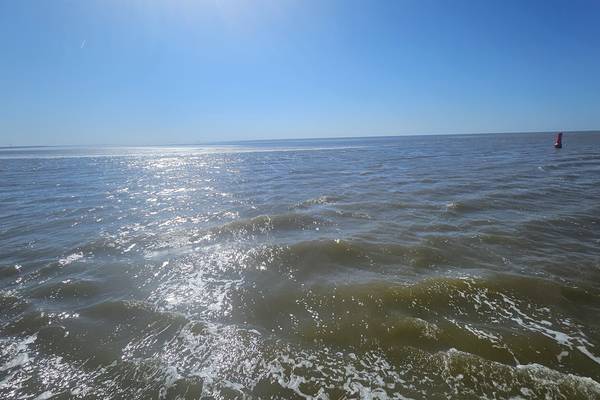 Zeilblog - Bedrijfsuitje op het Wad – Team Holland Sail op koers