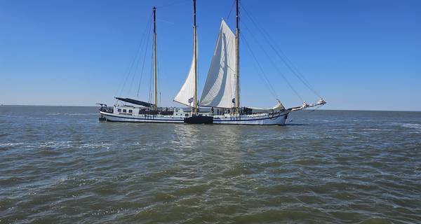 Zeilblog - Bedrijfsuitje op het Wad – Team Holland Sail op koers