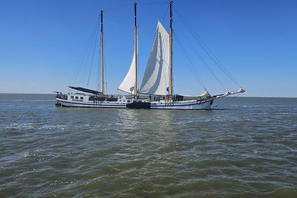 Zeilblog - Bedrijfsuitje op het Wad – Team Holland Sail op koers