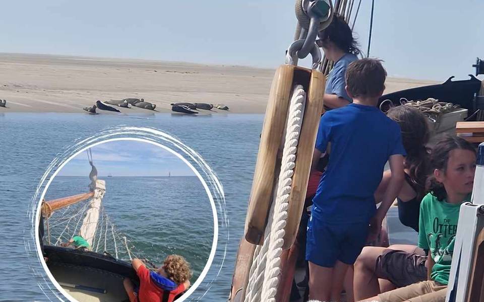 Zeilblog - Zo zag juni eruit op het water